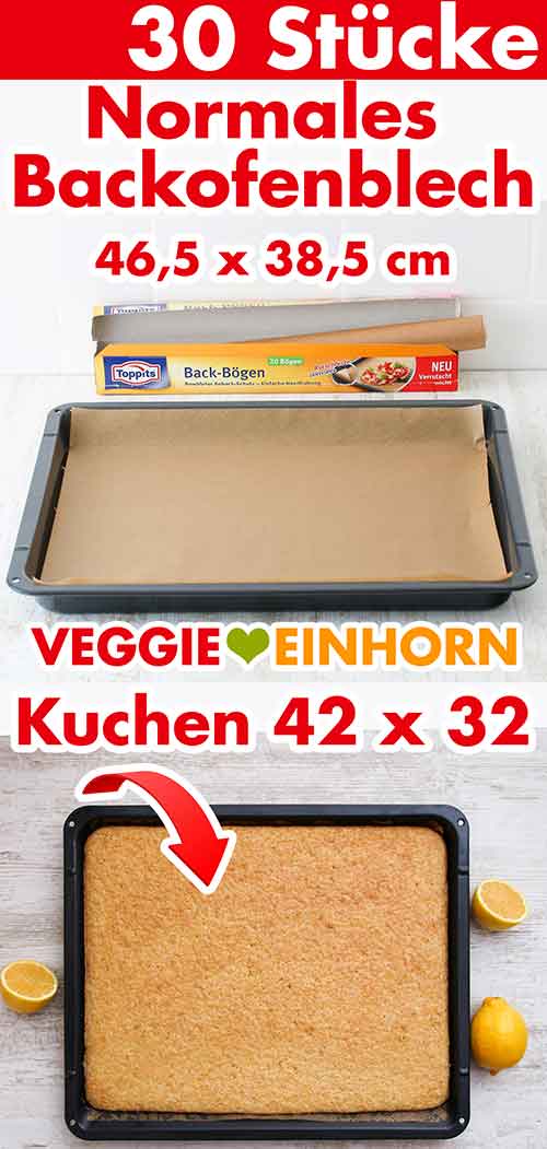 Großes Backblech mit Blechkuchen Backofenblech mit Blechkuchen