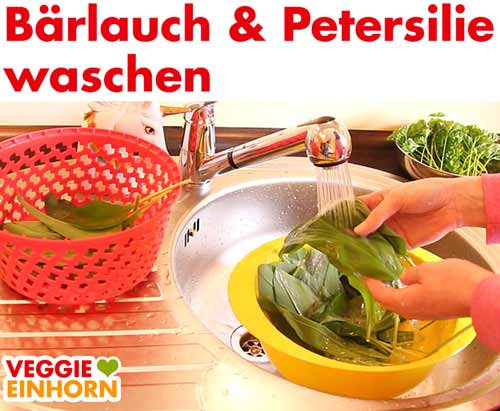 Bärlauch und Petersilie in der Spüle waschen. Bärlauch und Petersilie in der Spüle waschen.