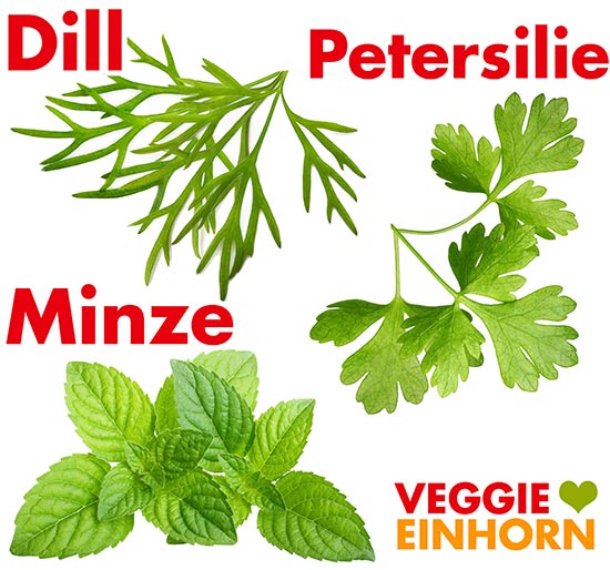Dill, Petersilie und Minze