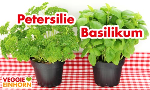 Frische Kräuter - Petersilie und Basilikum