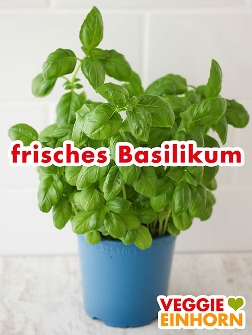 Ein Topf mit frischem Basilikum