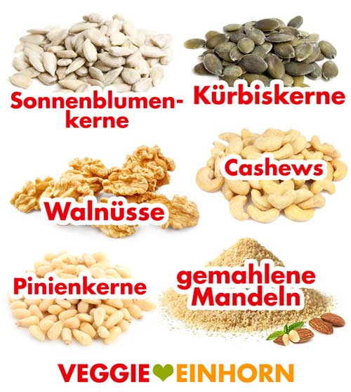 Sonnenblumenkerne, Kürbiskerne, Walnüsse, Pinienkerne, Mandeln