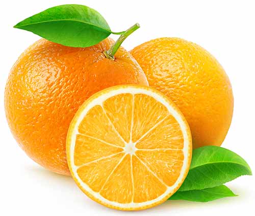 Orangen Zwei Orangen und eine Orangenscheibe