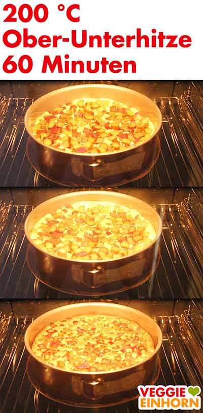 Rhabarberkuchen im Ofen backen Rhabarberkuchen auf dem Rost in den Ofen schieben