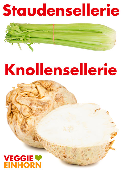 Staudensellerie und Knollensellerie
