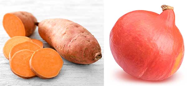 Süßkartoffel und Hokkaido Kürbis