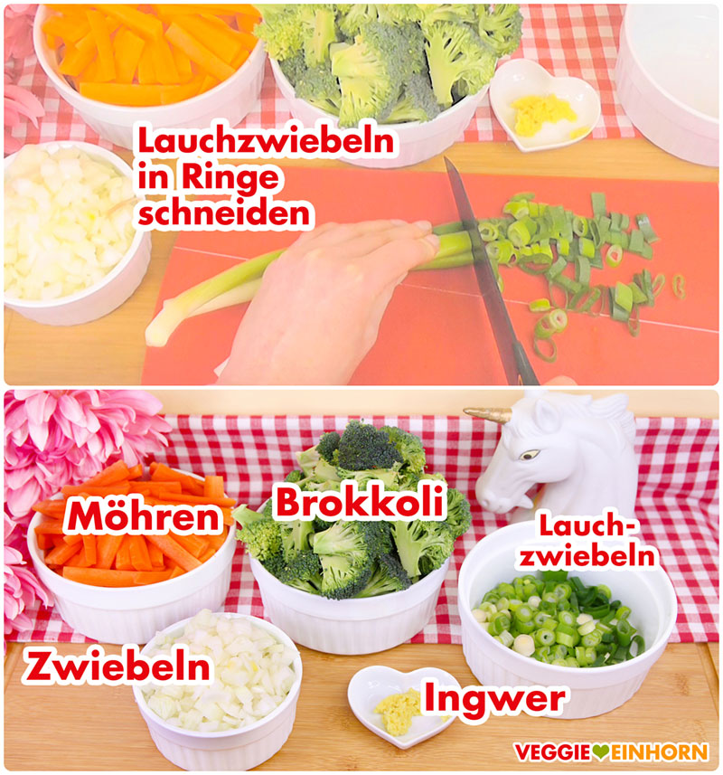 Lauchzwiebeln in Ringe schneiden