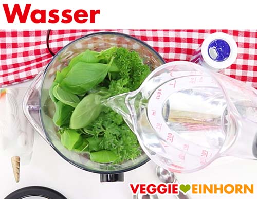 Wasser in Standmixer geben für veganen Cashewdip