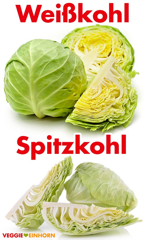 Weißkohl und Spitzkohl