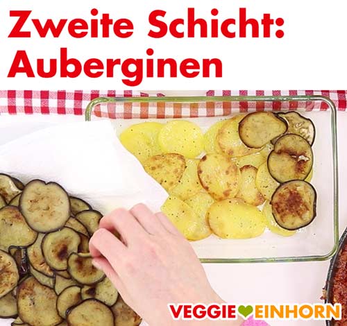 Gebratene Auberginen Scheiben in Auflaufform legen Gebratene Auberginen Scheiben in Auflaufform legen