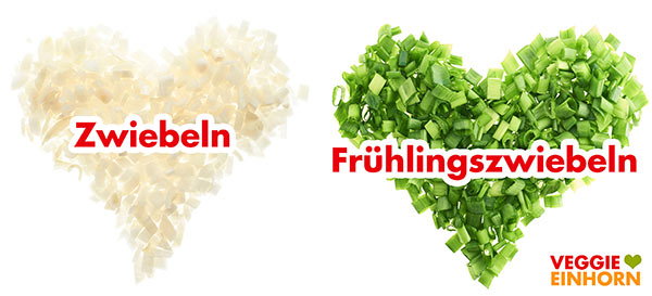 Zwiebelwürfel und Frühlingszwiebelringe