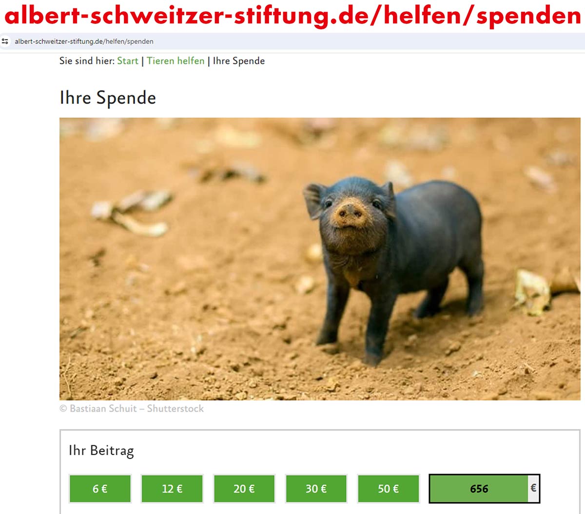 Spende für die Albert Schweitzer Stiftung für unsere Mitwelt Screenshot der Spendenseite der Albert Schweitzer Stiftung