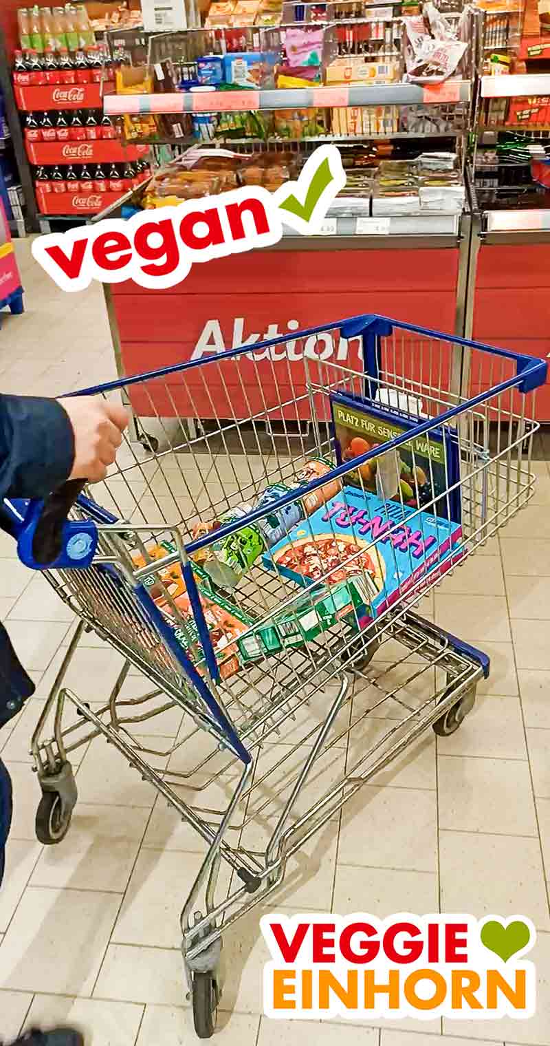 Die vegane Thunfisch Pizza von BettaFish im Einkaufswagen bei Aldi. Aldi Einkaufswagen mit der veganen Pizza Tu-Nah