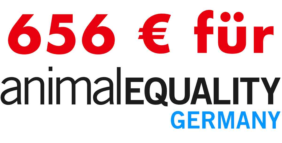 Veggie Einhorn spendet 656 Euro an Animal Equality Germany. Spende an Animal Equality Germany