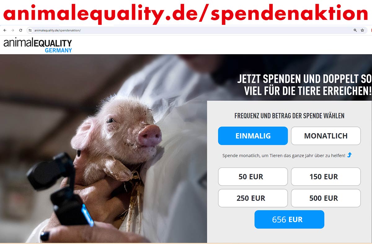 Spenden für Animal Equality Germany Screenshot der Spendenaktion von Animal Equality