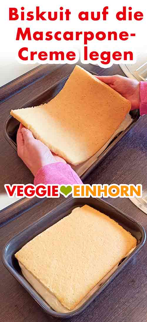 Der Biskuit kommt auf die vegane Mascarpone Schicht. Den veganen Biskuit auf die Mascarpone Creme legen.