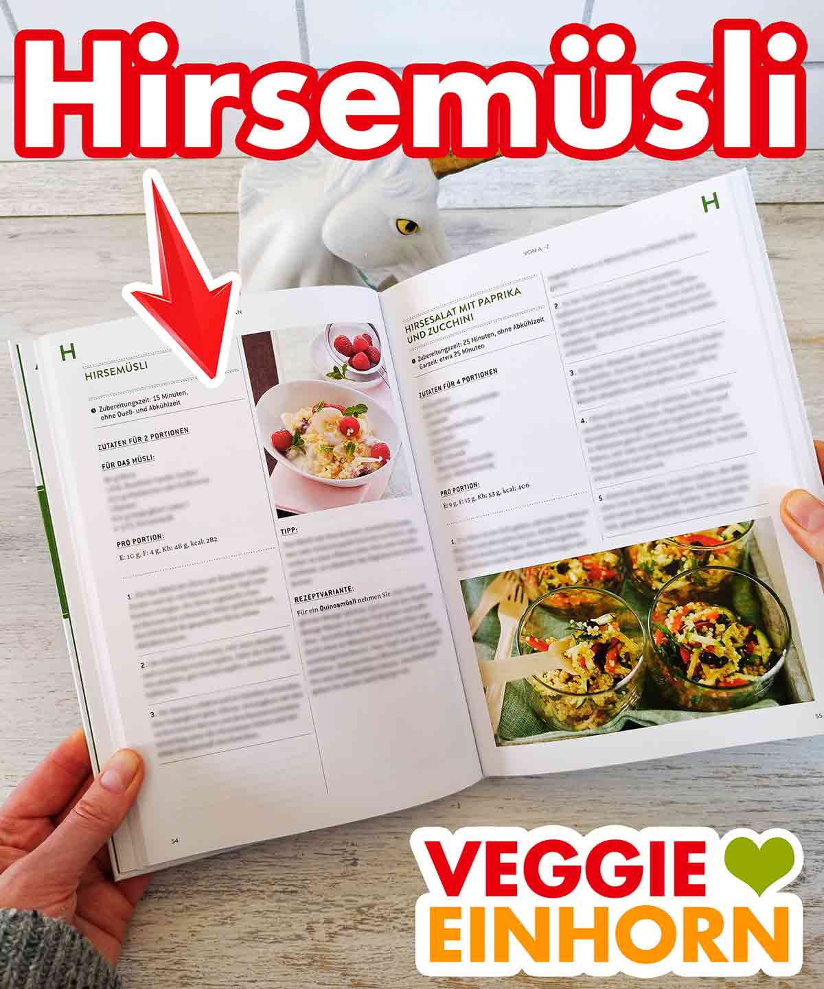 Veganes Hirsemüsli Hirsemüsli im Kochbuch Vegan von A bis Z von Dr. Oetker