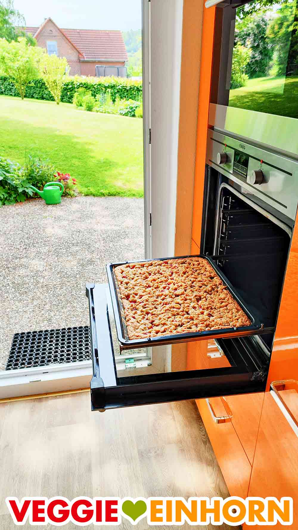 Den fertigen veganen Rhabarberkuchen abkühlen lassen. Fertig gebackener veganer Rhabarber Blechkuchen mit Streuseln