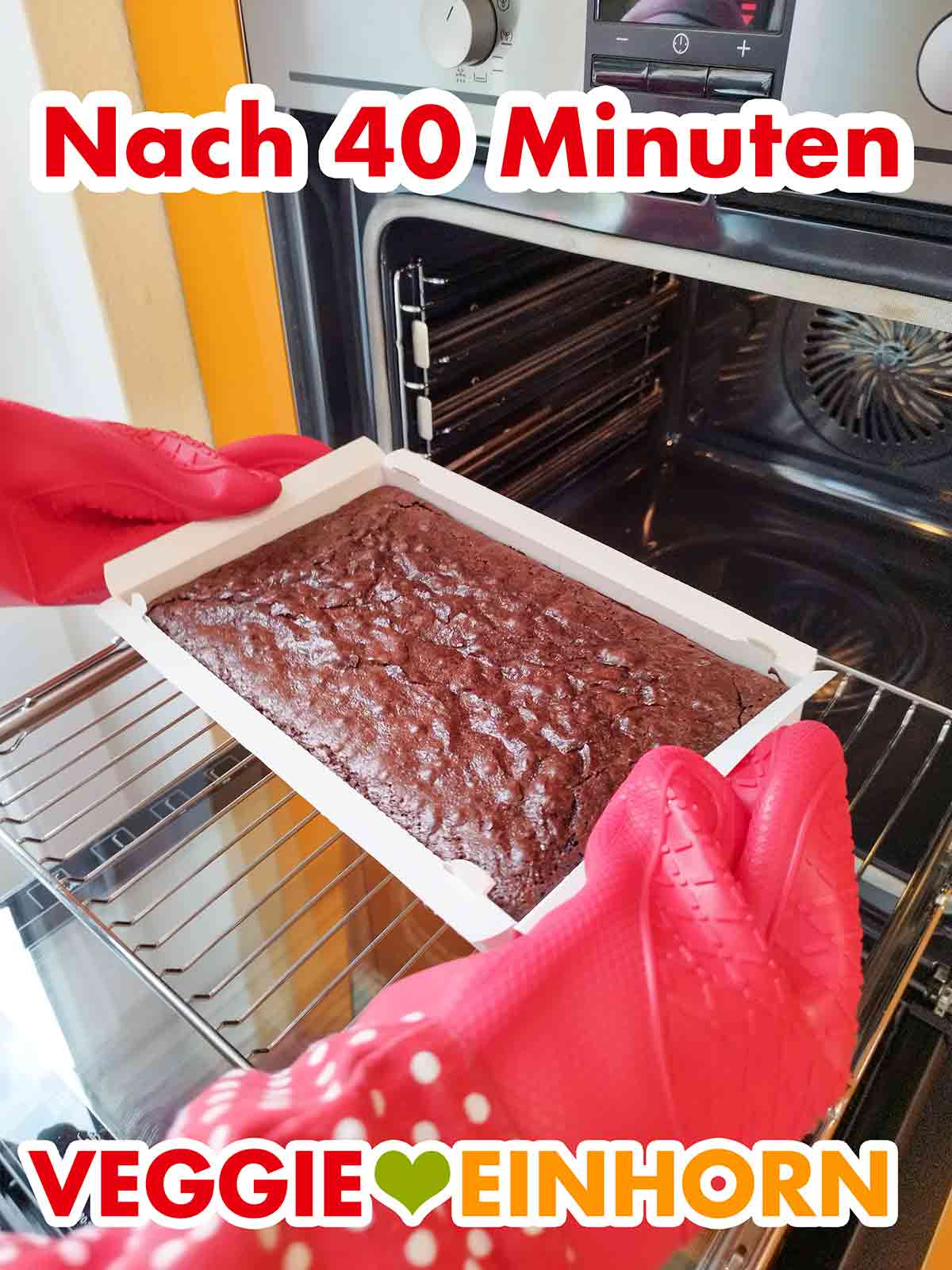 So sieht der fertig gebackene vegane Brownieteig der Dr. Oetker Backmischung aus. Fertig gebackene vegane Brownies von Dr. Oetker