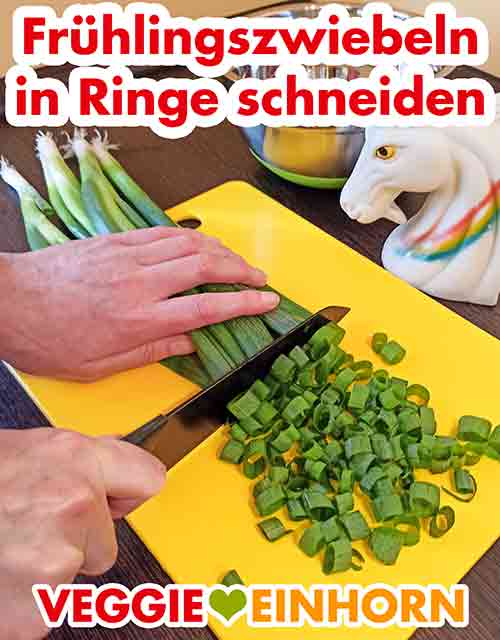 Die Lauchzwiebeln in Ringe schneiden. Frühlingszwiebeln in Ringe schneiden