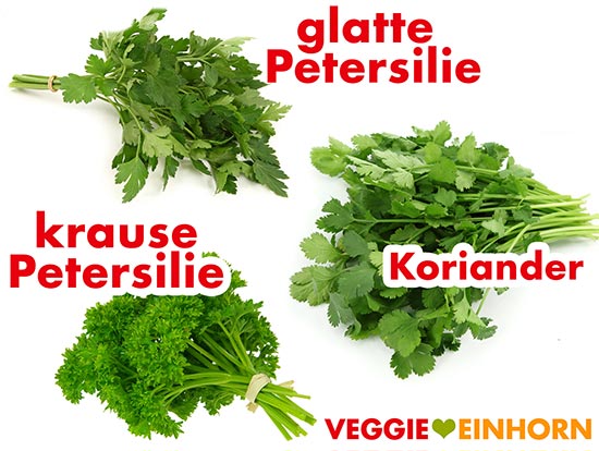 Glatte und krause Petersilie, frischer Koriander