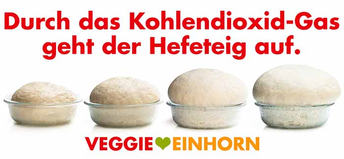 Durch das CO2 Gas der Gärung geht der Hefeteig auf. Ein aufgehender Hefeteig, der immer größer wird