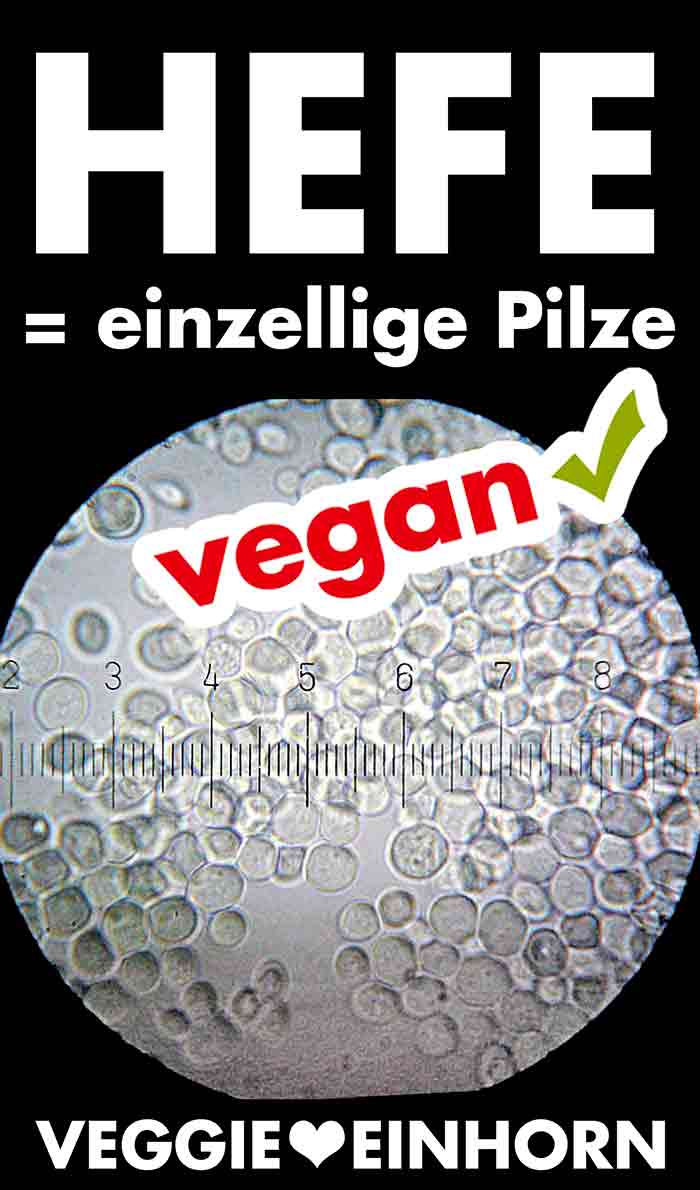 Hefe ist vegan. Hefen sind einzellige Pilze. Hefen sind einzellige Pilze.
