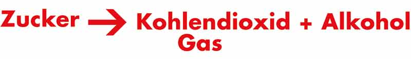 Zucker wird durch Hefe Gärung zu Kohlendioxid Gas und Alkohol. Zucker wird zu Kohlendioxid Gas und Alkohol