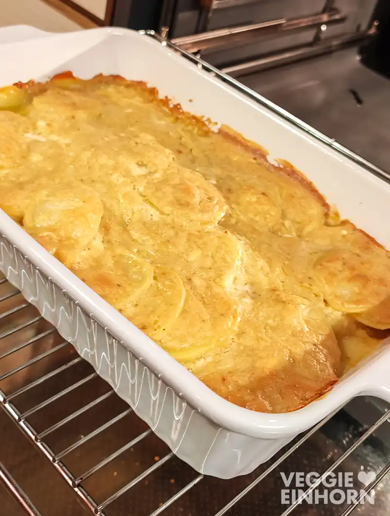 Veganes Kartoffelgratin mit Crème fraîche, Cuisine und Semmelbröseln Nahaufnahme einer weißen Auflaufform mit veganem Kartoffelgratin auf dem Ofengitter vor dem geöffneten Ofen.