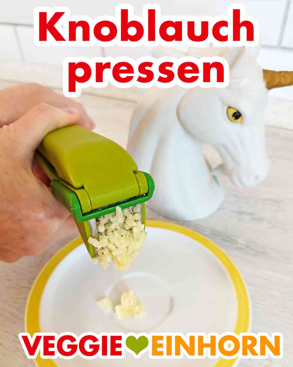 Die Knoblauchzehe wird gepresst. Knoblauch wird durch eine Knoblauchpresse gedrückt