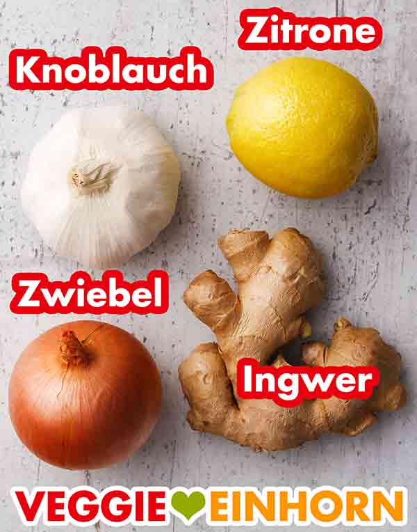 Eine Knoblauchknolle, Zitrone für Zitronensaft, Zwiebel, frische Ingwerwurzel Knoblauch, Zitrone, Zwiebel, Ingwer