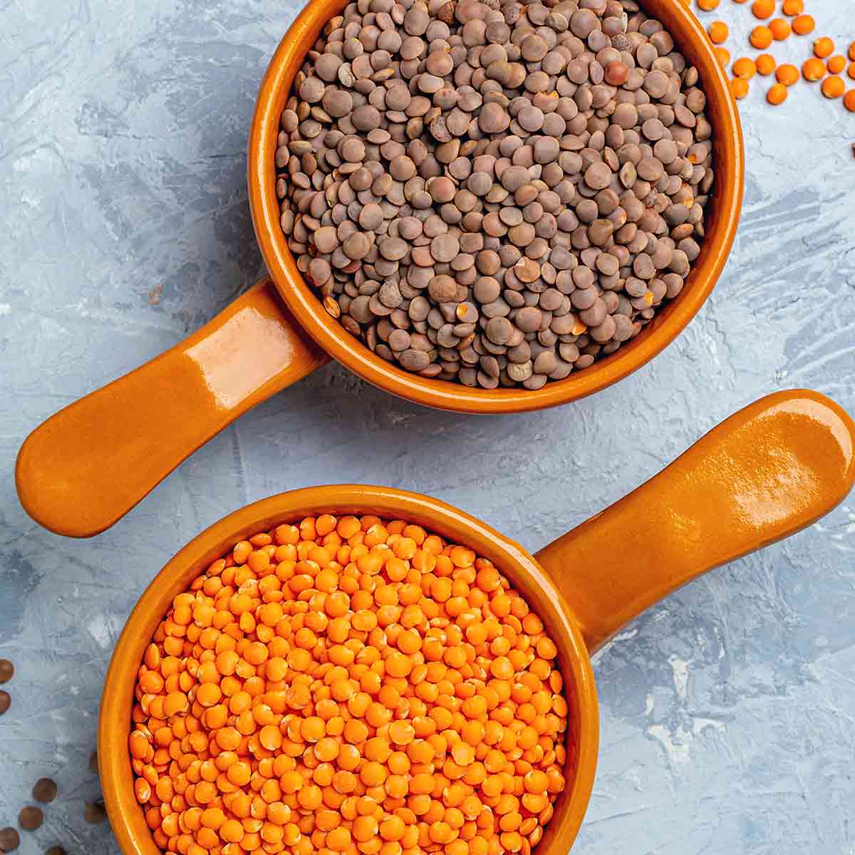 Linsen für Bolognese
