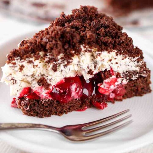 Kuchenteller mit veganem Maulwurfkuchen mit Kirschen