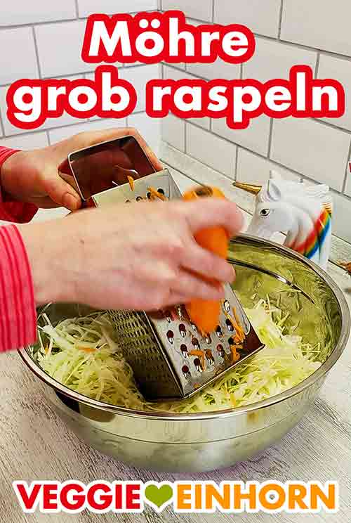 Raspeln der Möhre Eine Möhre wird auf einer Reibe geraspelt