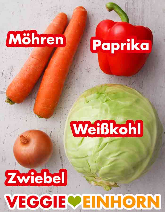 Frisches Gemüse für den Krautsalat mit Paprika und Karotten Möhren, Paprika, Zwiebel, ein Kopf Weißkohl