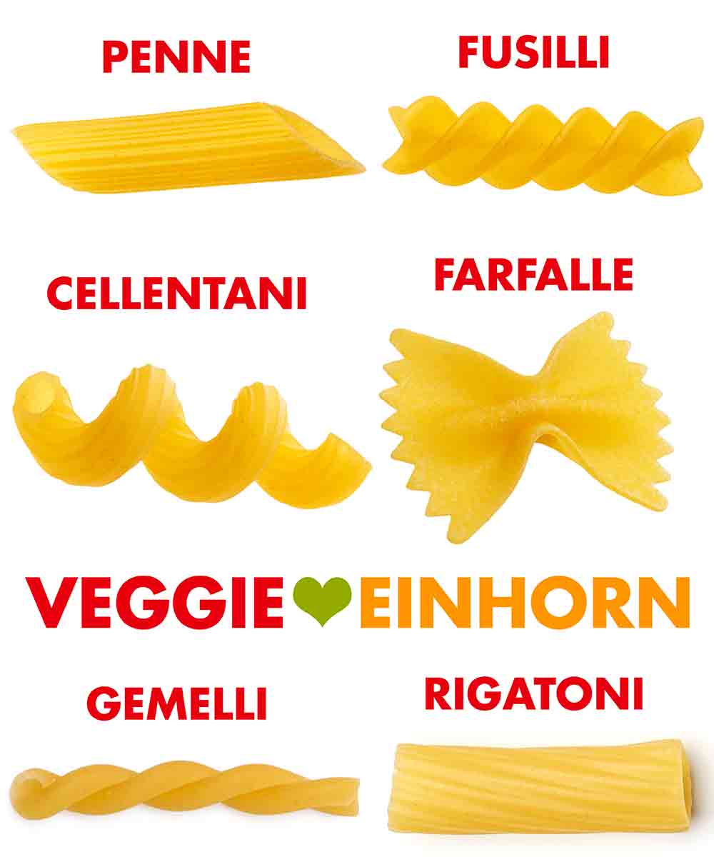Verschiedene Pastasorten für türkische Nudeln Penne, Fusilli, Cellentani, Farfalle, Gemelli, Rigatoni