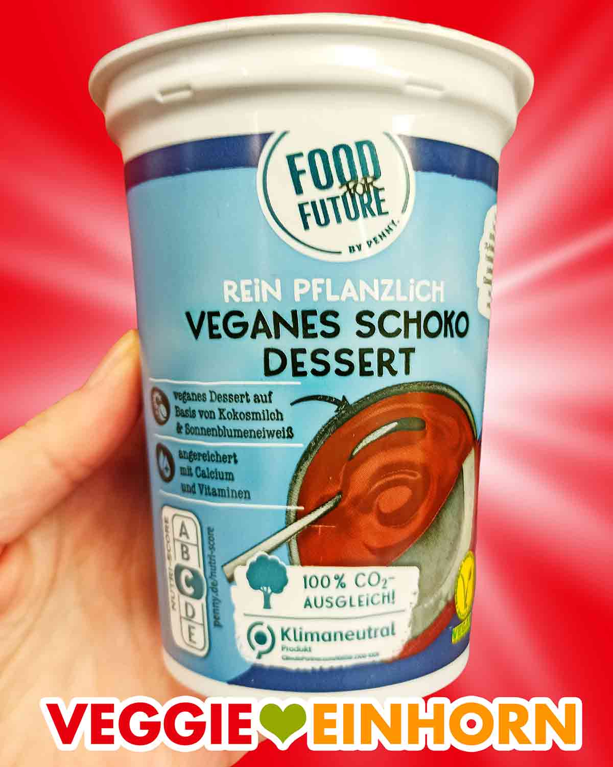 Veganes Schoko Dessert von Penny
