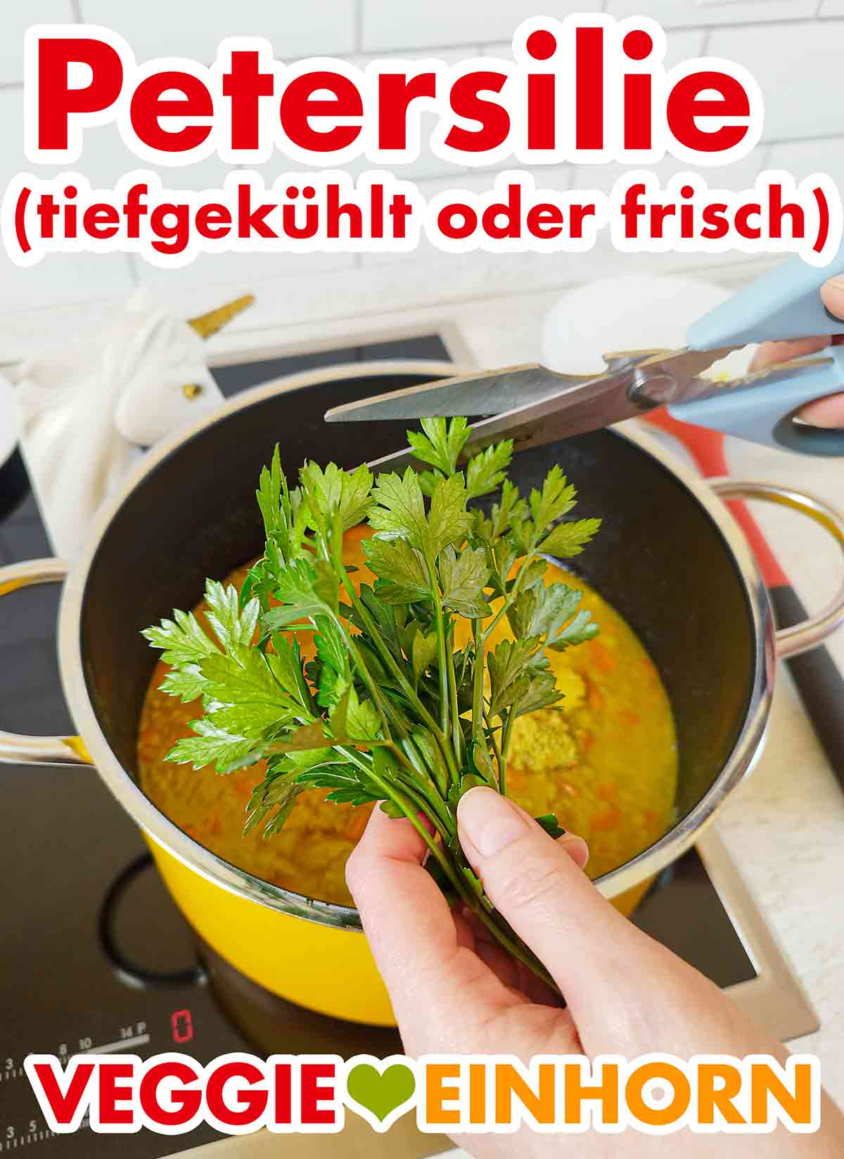 Der Eintopf wird mit frischer Petersilie gewürzt. Glatte Petersilie wird mit einer Schere geschnitten