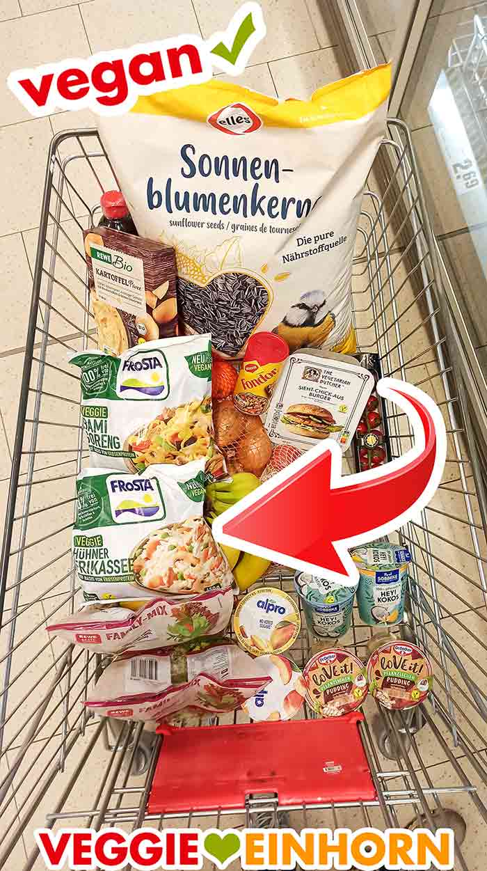 Vegane Fertiggerichte von Frosta im Rewe Einkaufswagen Einkaufswagen im Supermarkt mit veganen Lebensmitteln und veganen Fertiggerichten von Frosta