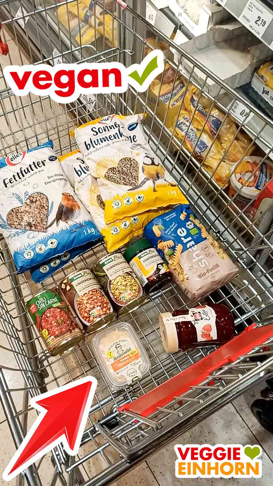 Rewe Einkaufswagen mit veganen Lebensmitteln und veganem Farmersalat von Popp Veganer Farmersalat im Einkaufswagen