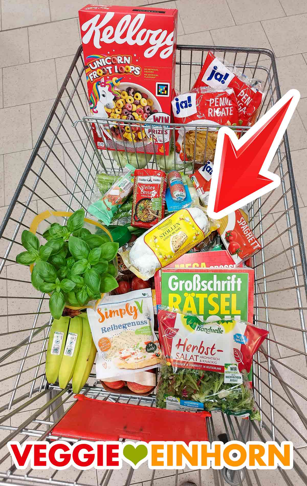 Diese veganen Lebensmittel habe ich alle bei Rewe gekauft. Einkaufswagen mit veganen Produkten und dem Kuchenmeister Edel-Marzipanstollen