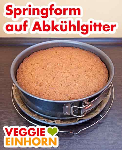 Der Möhrenkuchen in der Backform steht auf einem Kuchengitter Springform mit Möhrenkuchen auf einem Abkühlgitter