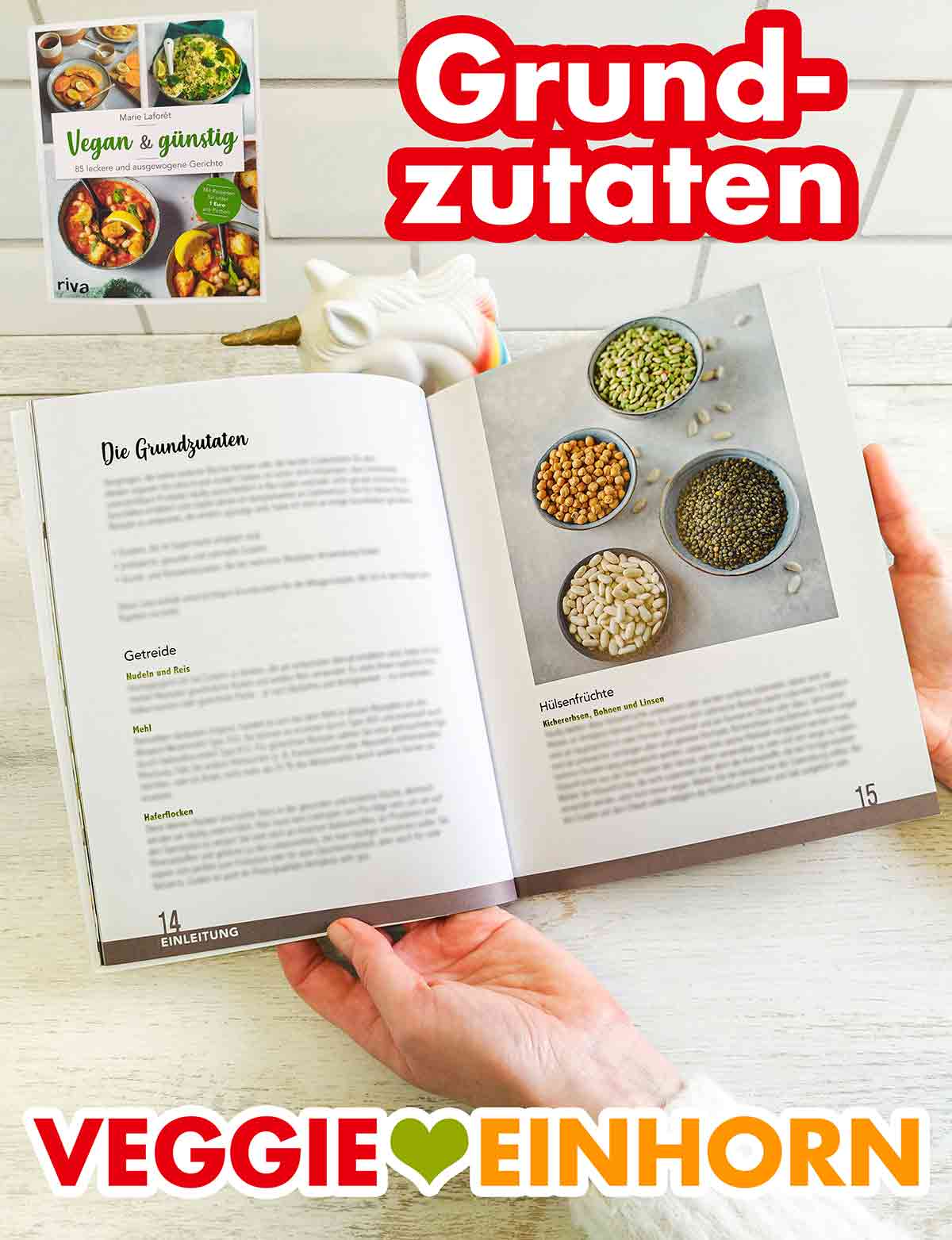 Marie Laforêt Vegan und Günstig - Grundzutaten Grundzutaten im Kochbuch Vegan und Günstig von Marie Laforêt