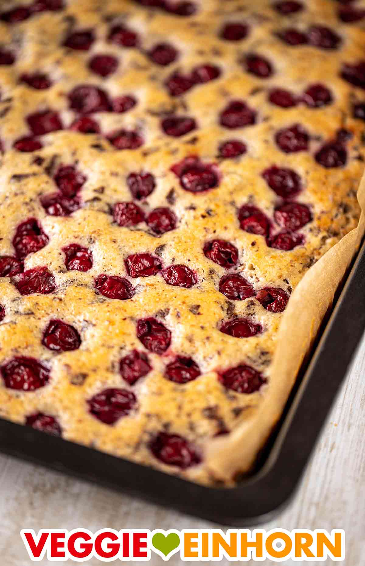 Veganer Blechkuchen mit Kirschen, Haselnüssen und veganer Raspelschokolade Backblech mit veganem Nusskuchen mit Kirschen