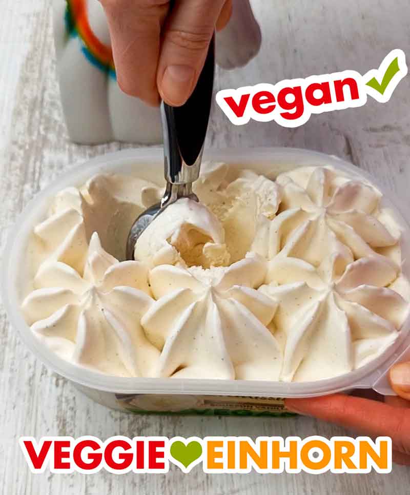 Das vegane Vanilleeis von Cremissimo wird mit dem Eisportionierer aus der Packung entnommen. Entnahme der Vanilleeiscreme aus der Packung
