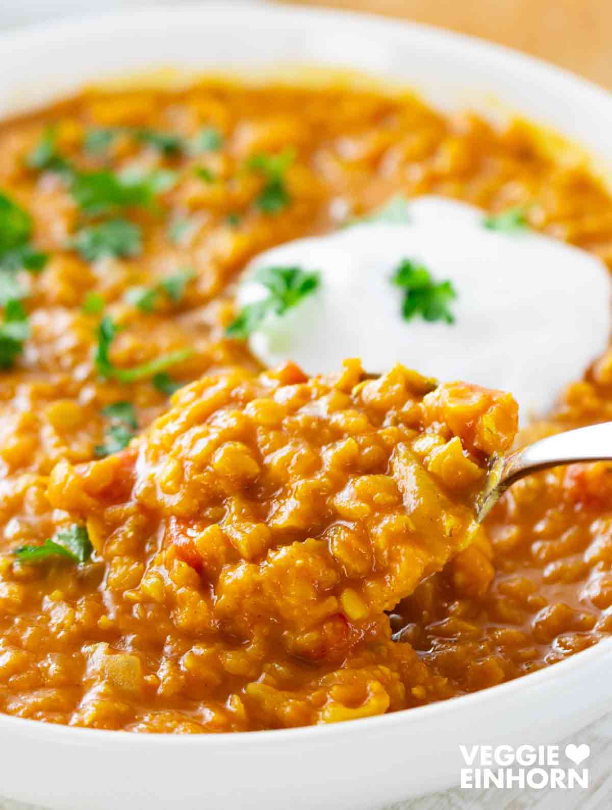 Ein Löffel voll veganem rotem Linsen Dal wird aus einer weißen Schale gehoben. Das Dal ist mit einem Klecks veganem Joghurt und etwas frischer Petersilie dekoriert.