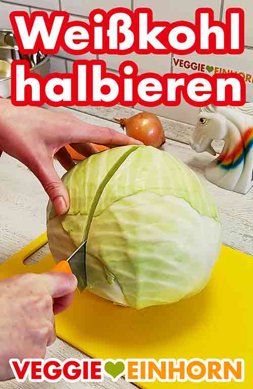Halbieren des Weißkohls Ein Kopf Weißkohl wird mit einem Messer halbiert