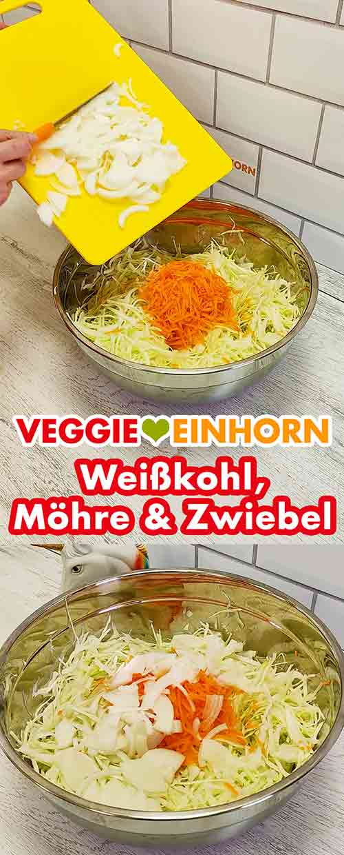 Zufügen der Zwiebelstreifen Die Zwiebelstreifen werden in die Schüssel zum Weißkohl und der Möhre gegeben